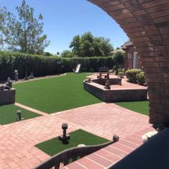 A gorgeous backyard in Tempe, AZ