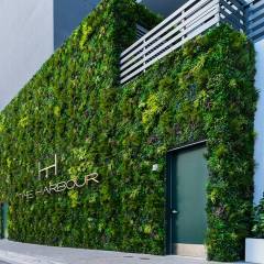 calico-greens-ivy-walls-artificial-living-walls-grass