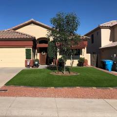 A front yard in Phoenix, AZ