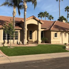 A front yard in Scottsdale, AZ