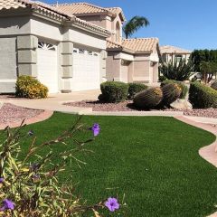 A front yard installation in Chandler, AZ