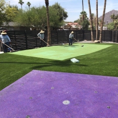 paradise-greens-backyard