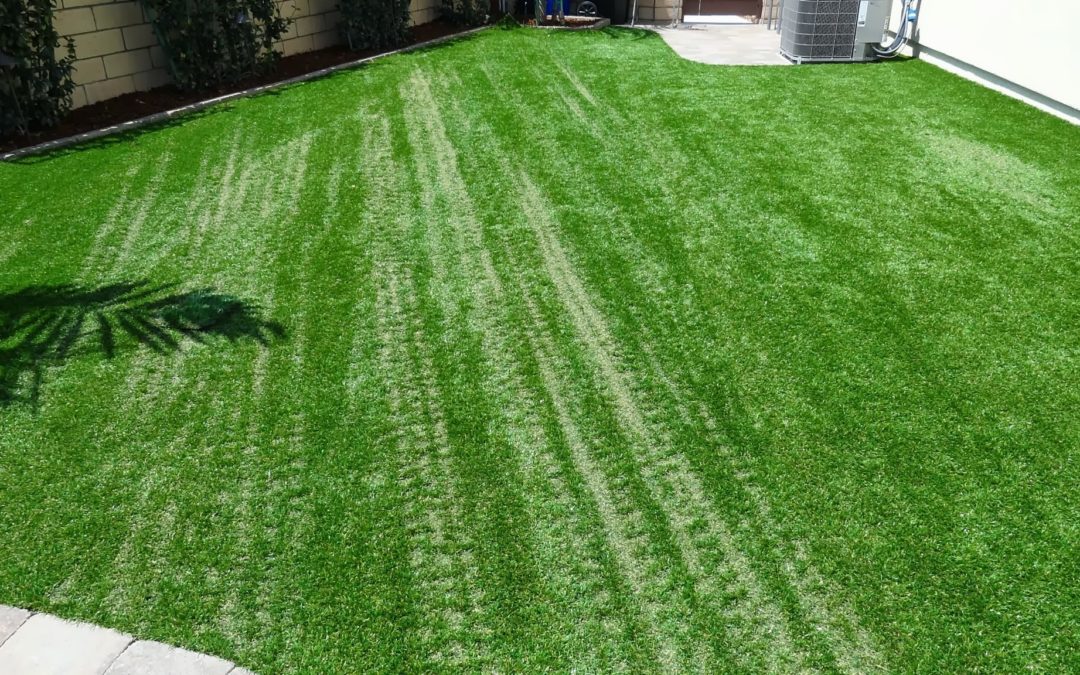 Artificial Grass and Shedding