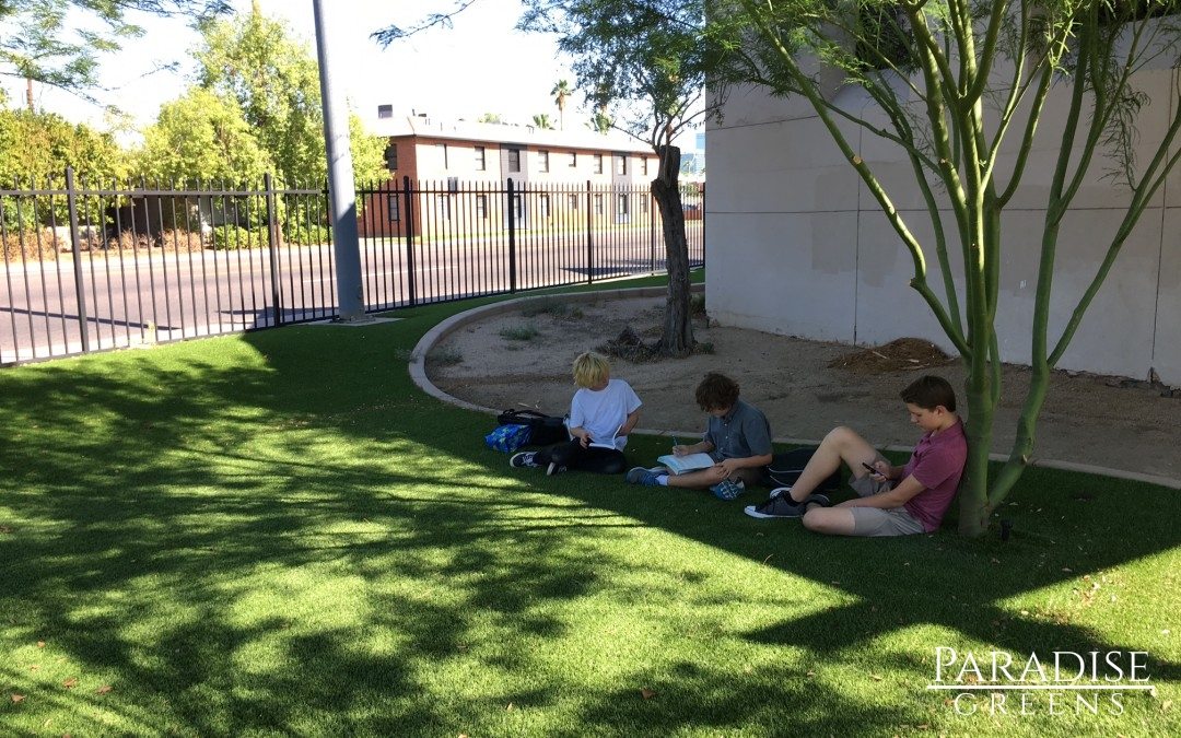 Phoenix Art School Installs Artificial Turf