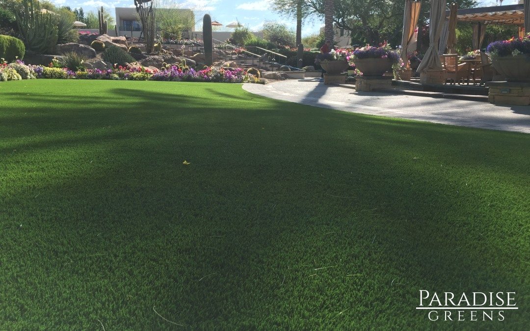 Turf Install: Camelback Inn Resort